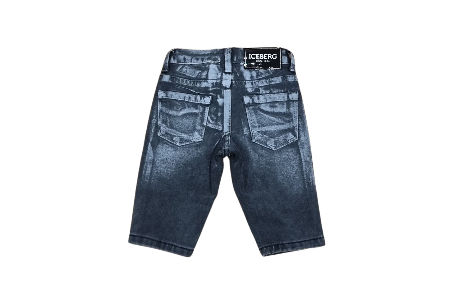 PTICE6313B