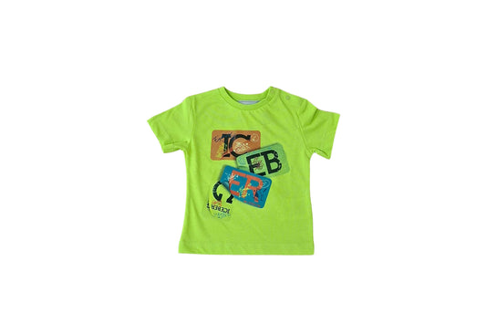 TSICE6108B
